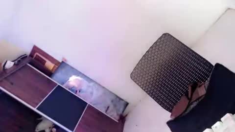 Amaya online show from October 2025 02:20:02 AM