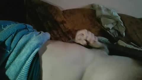 Snapshot of amazingcuteboy845 chatting on October 2025 09:15:01 PM amazingcuteboy845 online show from October 2025 09:15:01 PM