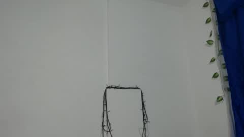 ambel_rose online show from December 2024 01:05:01 AM