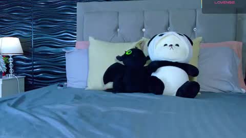 Snapshot of amber_bull chatting on November 2025 01:46:02 PM amber_bull online show from November 2025 01:46:02 PM