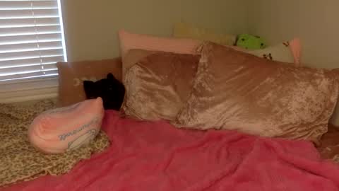 Snapshot of amberbunny1 chatting on September 2025 03:22:02 PM Amber 3 online show from September 2025 03:22:02 PM