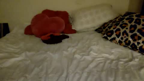 Amberloves2write aka AmberMyBelle online show from February 2025 02:58:01 AM