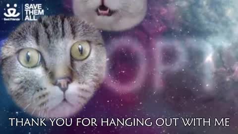 Snapshot of ambersimard chatting on March 2025 03:08:01 AM Amber online show from March 2025 03:08:01 AM