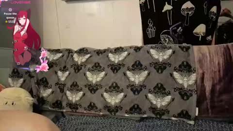 amburlicious online show from November 2025 02:25:01 AM