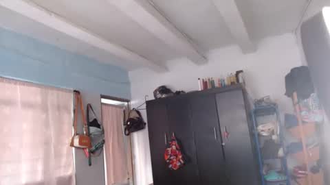 Snapshot of amelia_2023 chatting on December 2024 01:03:01 PM amelia online show from December 2024 01:03:01 PM