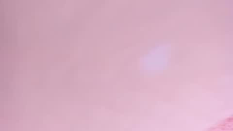 Amelia  online show from July 2026 04:19:01 AM