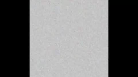 Amelia PVT model online show from March 2025 04:42:02 PM