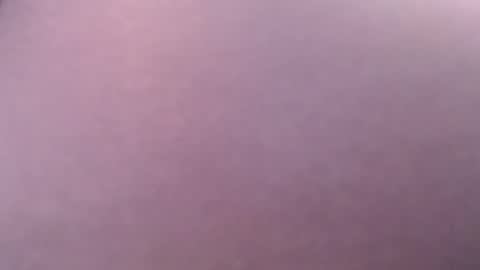 Snapshot of amoremeoww chatting on February 2025 06:10:02 AM miss unforgettable online show from February 2025 06:10:02 AM