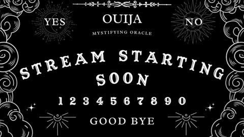 Amy 3 online show from December 2024 07:55:01 AM