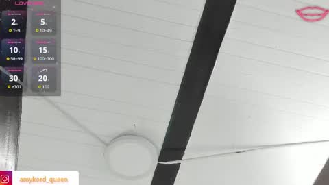 Amykord online show from July 2026 11:34:01 AM