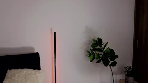 Snapshot of amyross1 chatting on February 2026 12:14:02 AM Aleja online show from February 2026 12:14:02 AM