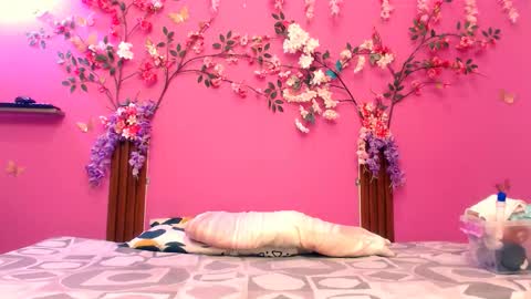 analdee online show from November 2025 07:10:01 PM