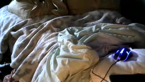 kinkylilanalslut online show from January 2025 04:53:01 PM