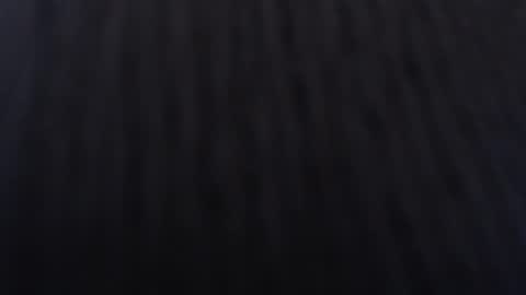   online show from January 2025 12:03:01 PM