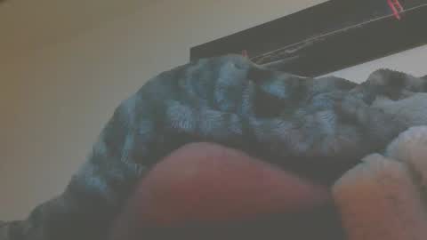 Snapshot of andionline chatting on March 2026 05:14:02 AM andreas online show from March 2026 05:14:02 AM