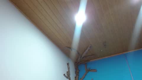 Snapshot of andrebigboobs chatting on February 2026 02:53:01 AM Andre online show from February 2026 02:53:01 AM