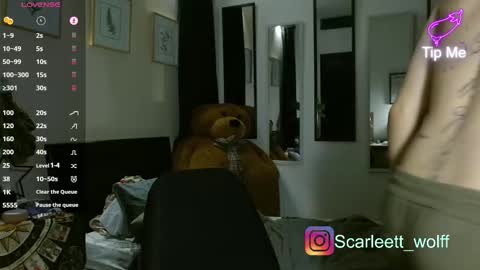 Snapshot of andreewwolffman chatting on February 2026 12:23:01 PM Andrew online show from February 2026 12:23:01 PM