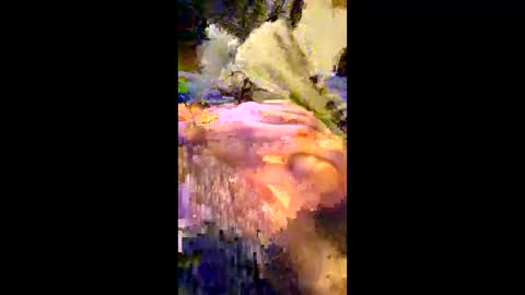 andrefeetlover11849 online show from December 2025 06:36:02 PM