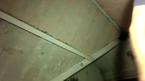 Andrew online show from April 2026 12:12:01 AM