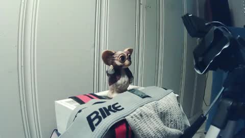 andy_552 online show from September 2025 01:46:01 PM