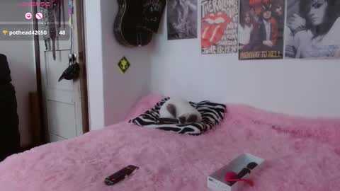 andy online show from November 2025 02:29:01 PM