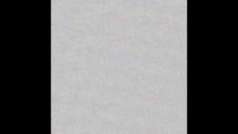 andybigone21 online show from December 2024 11:49:02 AM