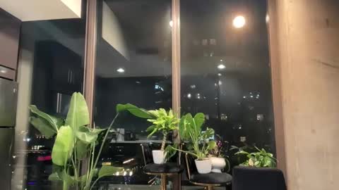 Andylynn Payne online show from March 2026 05:56:02 AM