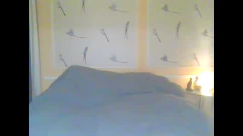 Alinessa online show from April 2026 05:21:02 PM