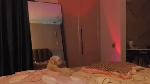 angel_andreww online show from May 2026 06:16:02 PM