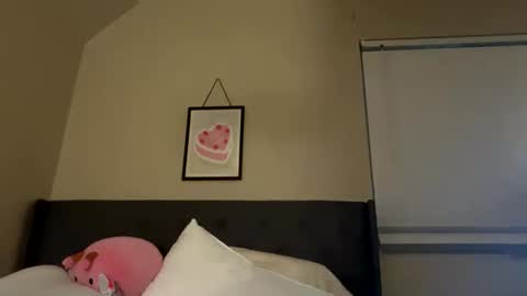 Princess Peach online show from February 2025 09:00:02 AM