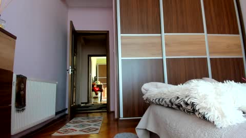 Angelina online show from January 2025 11:45:02 AM