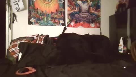 Snapshot of angelshempire420 chatting on February 2026 05:33:02 AM Angel and Mark online show from February 2026 05:33:02 AM