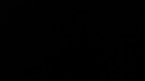 Snapshot of angelx_fox chatting on December 2024 03:37:02 AM Angel Fox online show from December 2024 03:37:02 AM