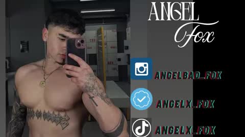 Snapshot of angelx_fox chatting on September 2025 06:59:01 AM Angel Fox online show from September 2025 06:59:01 AM