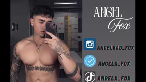 Snapshot of angelx_fox chatting on December 2025 09:18:01 AM Angel Fox online show from December 2025 09:18:01 AM