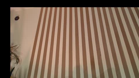 Snapshot of anmaadler chatting on January 2025 04:33:02 AM Anma Adler online show from January 2025 04:33:02 AM