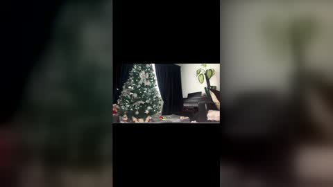 Snapshot of anna_nobel chatting on December 2025 11:04:02 AM anna_nobel online show from December 2025 11:04:02 AM