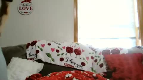 anne online show from January 2026 05:49:02 PM