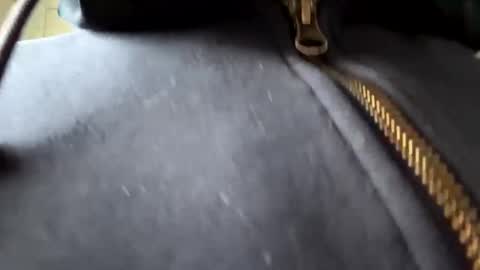 Snapshot of anonomousloser chatting on January 2025 02:36:02 PM anonomousloser online show from January 2025 02:36:02 PM