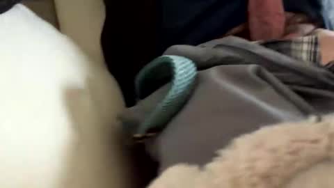 Snapshot of anonomousloser chatting on March 2026 02:43:01 PM anonomousloser online show from March 2026 02:43:01 PM