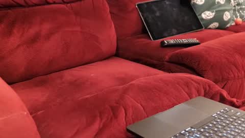 D online show from February 2026 12:05:02 PM