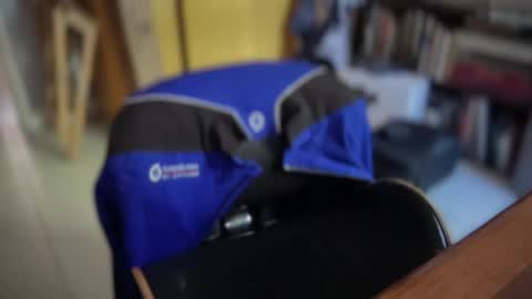 ansal1001 online show from April 2026 12:29:02 PM