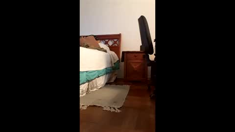 antonino85 online show from February 2026 09:48:02 PM