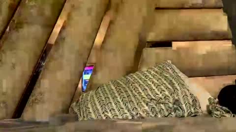 anubis_inpu online show from November 2025 07:53:01 AM