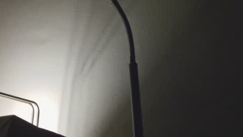 Daddy online show from January 2026 07:44:02 AM