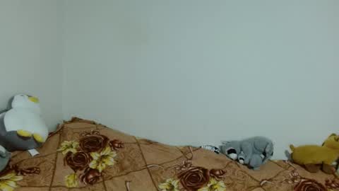 apache_710 online show from November 2025 02:34:02 AM