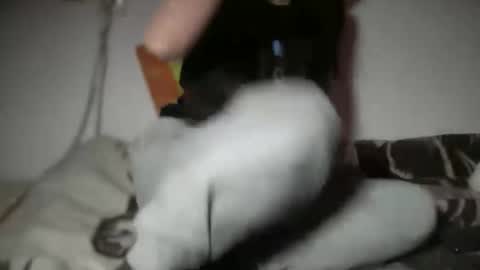 Snapshot of aphr0dite22 chatting on January 2026 03:16:02 PM aphr0dite22 online show from January 2026 03:16:02 PM