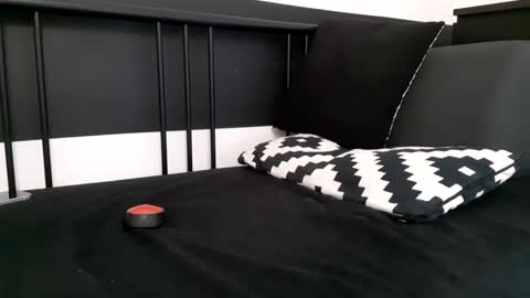 apollobest77 online show from December 2025 01:53:01 PM