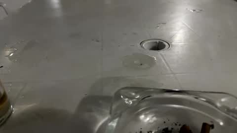 appelsapje4 online show from November 2025 12:43:02 AM