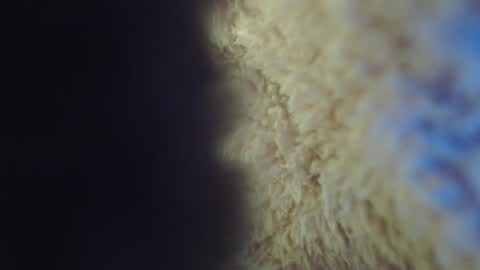 Abril Freelance Model online show from February 2025 05:09:02 AM